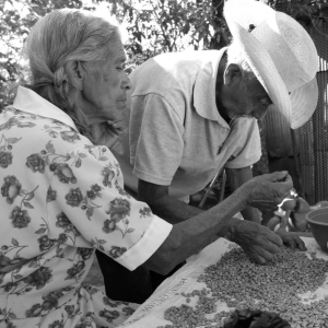 Mexico Pluma Geisha Primera - The Lucy Foundation - Disability Inclusive Coffee